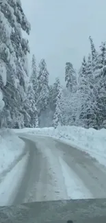 Snow-covered road through a winter forest landscape.