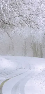 Snow-covered road through a winter forest with frosty trees.