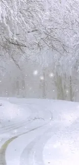 Snow-covered road in a frosty winter forest wallpaper.