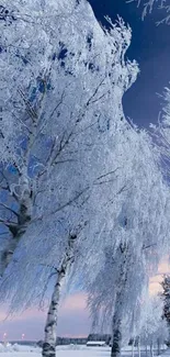 Snow-covered trees with a serene winter sky.