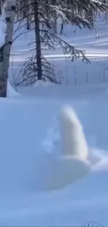 Snow-covered forest scene with serene winter vibe.