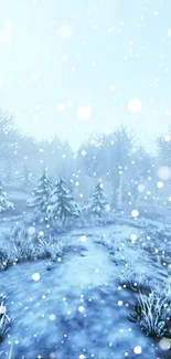 Snowy winter forest scene with falling snow.