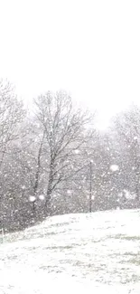 Serene snowfall in a winter landscape with trees and open ground.