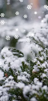 Snowy forest scene with falling snowflakes.