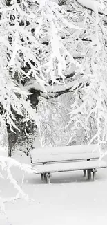 Snow-covered bench under frosted trees