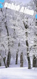 Snow-covered forest with frosty trees and a winter wonderland setting.