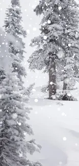 Serene snow-covered forest with falling snowflakes.