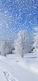 Stunning snow-covered trees under clear blue sky.