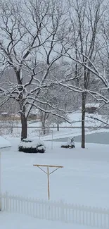 Snowy landscape with trees and a frozen pond in wintertime.