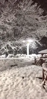 Snow-covered path with glowing park lights at night.