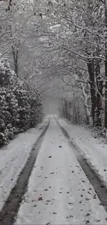 Snow-covered path through a winter forest.