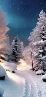 Snowy path through frosted trees under a starry night sky.