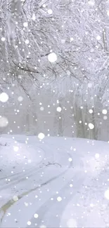 Snowy road in a serene winter forest with falling snowflakes.