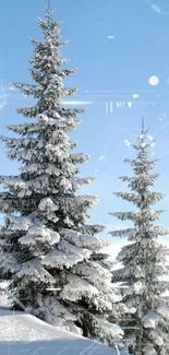 Snowy trees with digital overlays on a clear winter day.