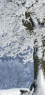 Snow-covered tree and bench in winter landscape.