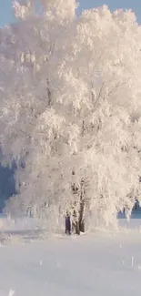 Snow-laden tree in serene winter landscape under clear sky.