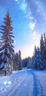 Snowy forest under a starry night sky.