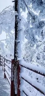 Snow-covered walkway with frosty trees and a serene winter landscape.