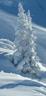 Snow-covered tree in tranquil winter landscape.