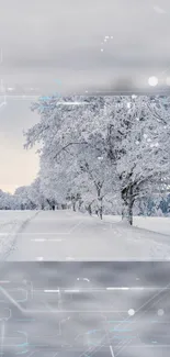 Snowy winter landscape with frosted trees and a tranquil path.