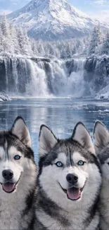 Majestic huskies in snowy landscape with waterfall.