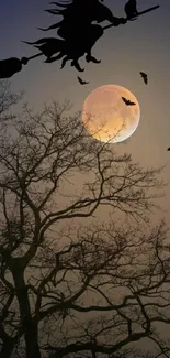 Silhouette of witch flying against full moon over a dark tree and night sky.