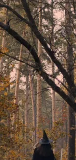 Autumn forest with witch walking under trees.