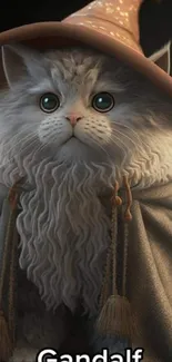 A cute cat dressed as a wizard in a hat and cloak.