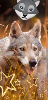 Majestic wolf in golden grasses with star doodles and an animated wolf face.