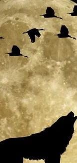 Wolf silhouette against a full moon with birds in flight.