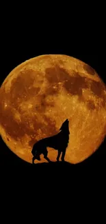 Silhouette of wolf howling at full orange moon against dark sky.