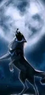 Wolf howling at the bright moon with dark blue night background.