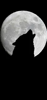 A dramatic silhouette of a wolf howling at a full moon on a dark night sky.