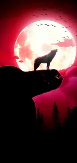 Wolf silhouetted against a red moonlit sky with trees.