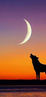 Wolf silhouette against a vibrant sunset with crescent moon.