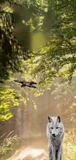 Majestic wolf standing in a sunlit forest with lush greenery.