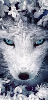 Wolf face surrounded by white flowers wallpaper.