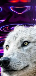 Wolf with psychedelic galaxy background, colorful digital art.