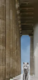 Wolf standing among ancient columns with clear sky overhead.