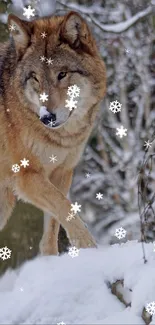 Majestic wolf standing in snowy forest with falling snowflakes.