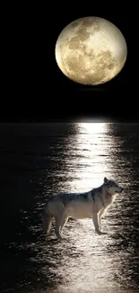 A wolf stands under a full moon, reflecting on a dark and tranquil sea.