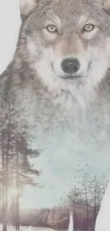 Double exposure wallpaper with wolf silhouette over forest landscape.