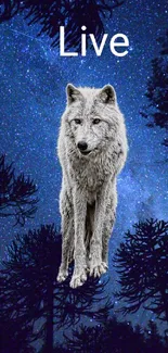 Majestic wolf under starry night sky with forest backdrop.