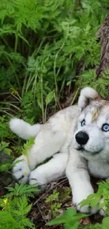 Plush wolf nestled in green forest leaves.