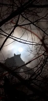 Silhouette of a wolf against a full moon surrounded by dark tree branches.