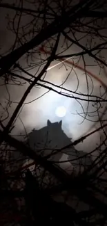 Silhouette of a wolf under a full moon through branches.