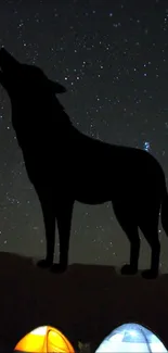 Wolf silhouette with starry night backdrop and camping tents.