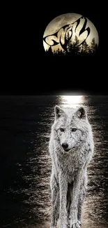 Lone wolf under full moon in a dark, serene night setting.