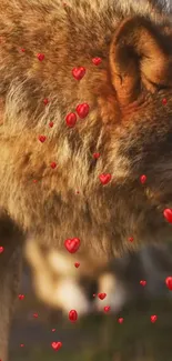 Majestic wolf with red heart accents on a natural background.