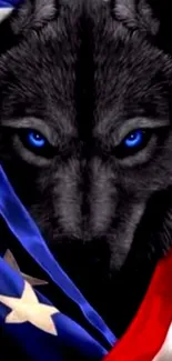 Wolf with blue eyes wrapped in the American flag.